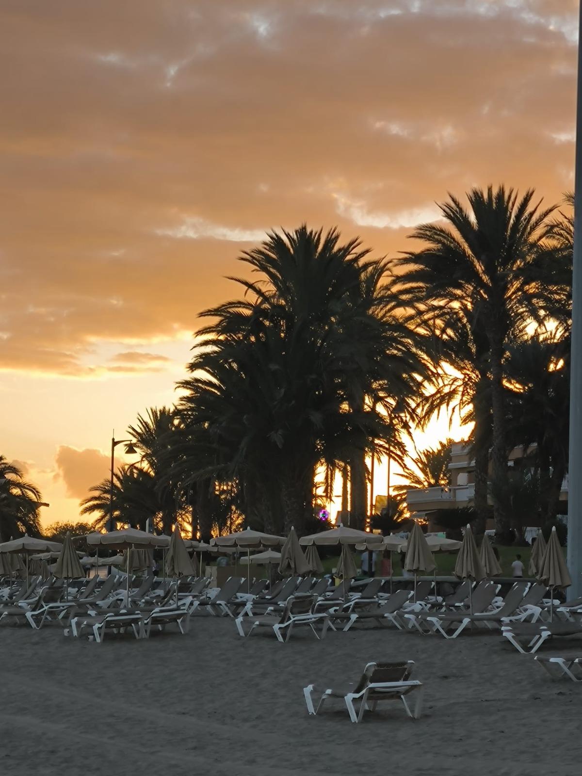Sunset vibes
